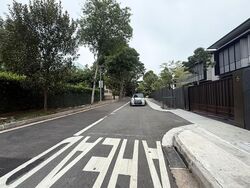 Leedon Park (D10), Detached #543494421